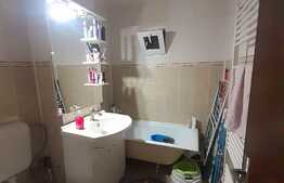 Apartament 2 camere, 50 mp, decomandat, Rovine, zona Profi