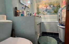 Apartament 4 camere, 88 mp, decomandat, mobilat si utilat, Blv. Dacia 