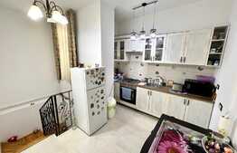 Casa cu 4 apartamente, 309 mp, teren 715 mp, zona Central