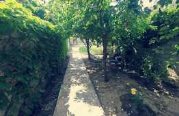 Casa 370 mp utili, 554 mp teren, iesire la 2 strazi, zona Medicina Veche