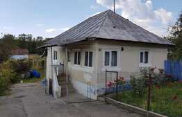 Casa individuala de 3 camere, 76 mp construiti, teren 4900 mp, Talpasi