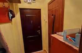Apartament 2 camere, 30 mp, etaj intermediar, Valea Rosie