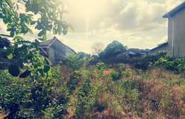 Teren intravilan 750 mp ,22 m deschidere, zona medicina veche!