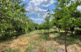 Teren intravilan 1.450 mp, Centru