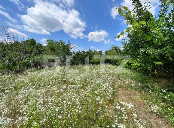 Teren de vânzare Central - 89303TV | BLITZ Craiova | Poza7