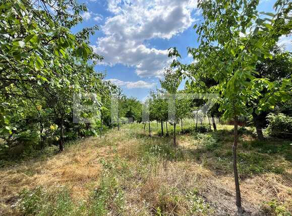 Teren de vânzare Central - 89303TV | BLITZ Craiova | Poza8