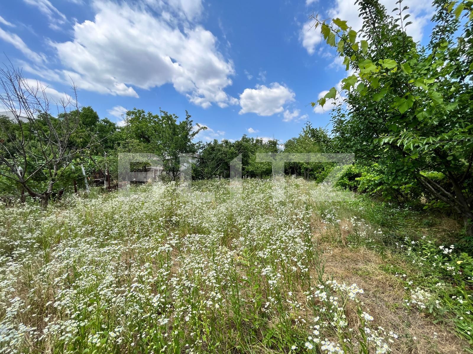 Teren de vânzare Central - 89303TV | BLITZ Craiova | Poza7