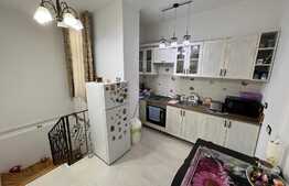 Apartament 2 camere, 50 mp, curte privata, zona centrala 