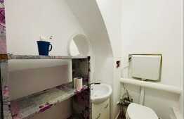 Spatiu Comercial 66 mp, zona ultracentrala