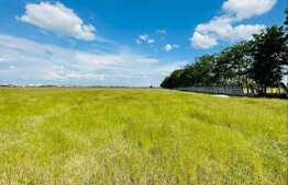 Teren extravilan cu documente depuse pentru trecere la intravilan, 5000 mp, Mofleni