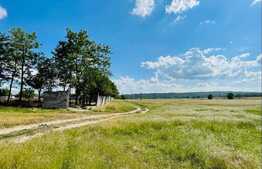 Teren extravilan cu documente depuse pentru trecere la intravilan, 5000 mp, Mofleni