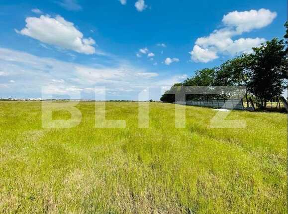 Teren de vânzare Mofleni - 89383TV | BLITZ Craiova | Poza2