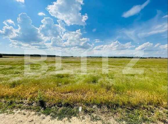 Teren de vânzare Mofleni - 89383TV | BLITZ Craiova | Poza3