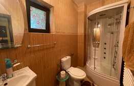 Casa P+M 220 mp utili, teren de 1000 mp