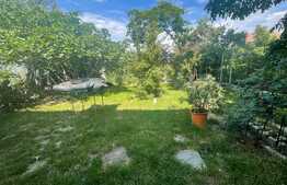 Casa S+P+E+M 9 camere, 460 mp utili, cartier Rovine