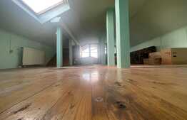 Casa S+P+E+M 9 camere, 460 mp utili, cartier Rovine