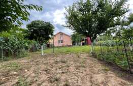  2 Case individuale 100 mp, teren 5000 mp, aproape de oras