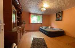  2 Case individuale 100 mp, teren 5000 mp, aproape de oras