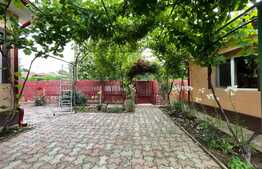  2 Case individuale 100 mp, teren 5000 mp, aproape de oras