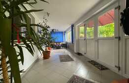  2 Case individuale 100 mp, teren 5000 mp, aproape de oras