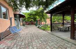  2 Case individuale 100 mp, teren 5000 mp, aproape de oras