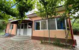  2 Case individuale 100 mp, teren 5000 mp, aproape de oras