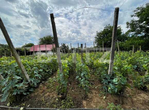 Casa de vânzare 6 camere Exterior Est - 89426CV | BLITZ Craiova | Poza16