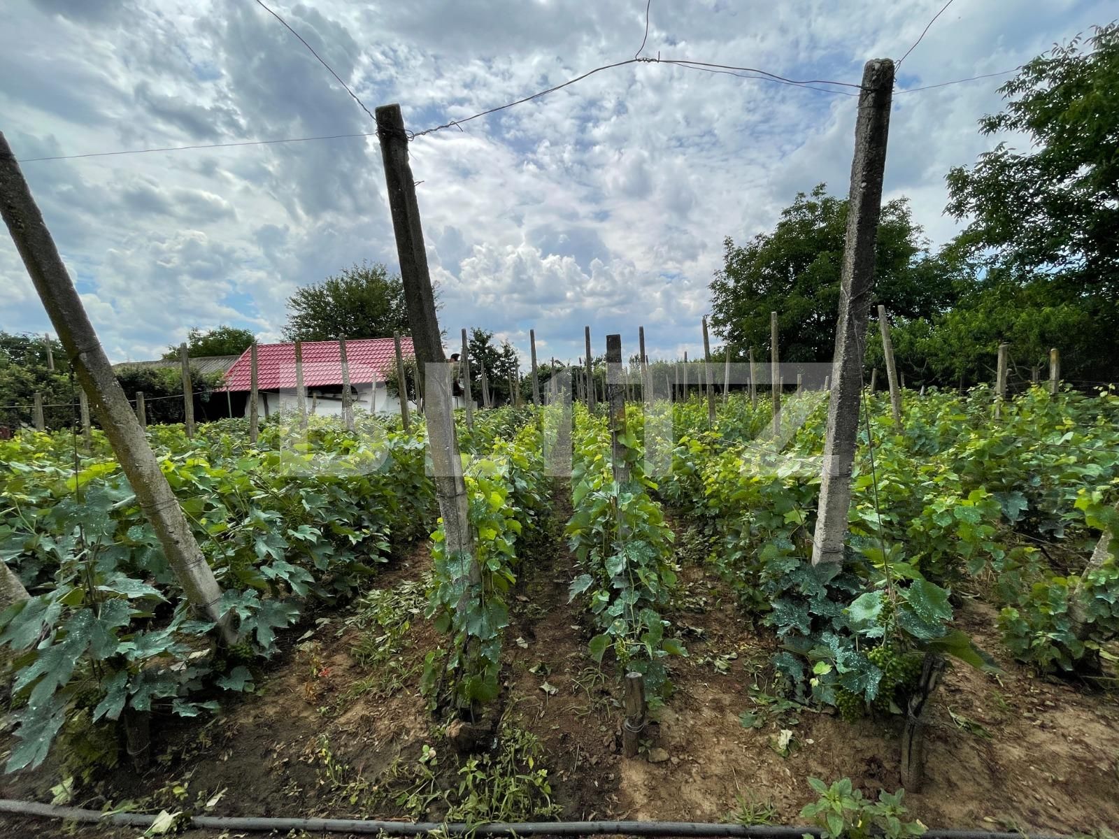 Casa de vânzare 6 camere Exterior Est - 89426CV | BLITZ Craiova | Poza16