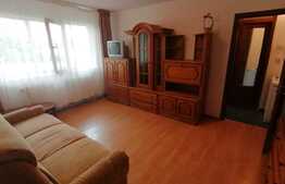 Apartament de 2 camere, pet friendly, 60 mp, zona Craiovita Noua