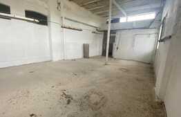 Hala industriala, 255 mp, zona Mofleni