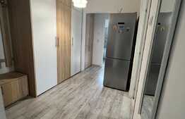 Apartament 2 camere, 60 mp, mobilat/utilat, zona Rovine