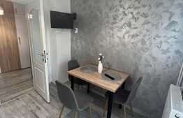 Apartament 2 camere, 60 mp, mobilat/utilat, zona Rovine