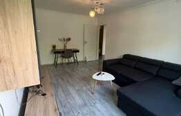 Apartament 2 camere, 60 mp, mobilat/utilat, zona Rovine