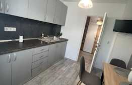 Apartament 2 camere, 60 mp, mobilat/utilat, zona Rovine