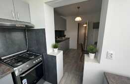 Apartament 2 camere, 60 mp, mobilat/utilat, zona Rovine