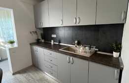 Apartament 2 camere, 60 mp, mobilat/utilat, zona Rovine