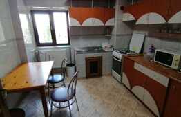 Apartament de 4 camere, 120mp, pet friendly, zona Rovine