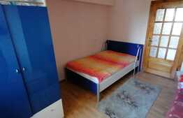 Apartament de 4 camere, 120mp, pet friendly, zona Rovine