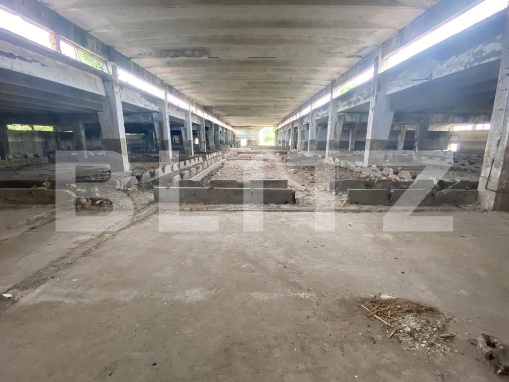 Spațiu industrial de închiriat Sud-Vest - 89748SII | BLITZ Craiova | Poza7