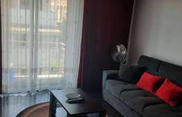 Ultracentral! Apartament cu 2 camere, 42 mp, Centrul Vechi!