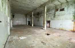 Hale industriale, 30000 mp, teren 65000 mp, zona Podari