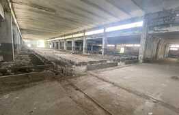 Hale industriale, 30000 mp, teren 65000 mp, zona Podari