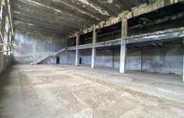 Hale industriale, 30000 mp, teren 65000 mp, zona Podari