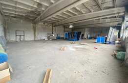 Hale industriale, 30000 mp, teren 65000 mp, zona Podari