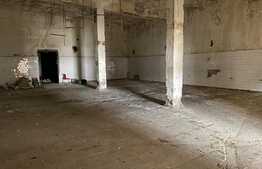 Hale industriale, 30000 mp, teren 65000 mp, zona Podari