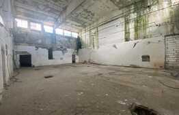 Hale industriale, 30000 mp, teren 65000 mp, zona Podari