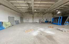 Hale industriale, 30000 mp, teren 65000 mp, zona Podari