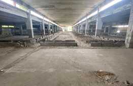 Hale industriale, 30000 mp, teren 65000 mp, zona Podari