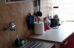 Apartament cu 2 camere, 42 mp, zona Craiovita Noua