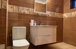 Casa 6 camere, moderna, spatioasa, zona Parcul Romanescu